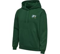 HUMMEL hmlLOONEY TUNES HOODIE dark green M
