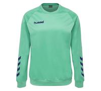 hummel Promo Poly Sweatshirt Kinder atlantis 164