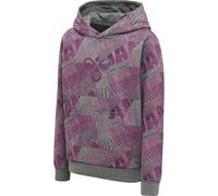 hummel Hmlspace Jam Cuatro Hoodie - Kinder - amaranth - 104