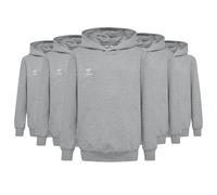 Hummel Hoody Set Go 2.0 | Kinder | Hoodie Grau 152