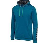 Hummel Polyester-Hoodie Authentic Kinder celestial Größe 116