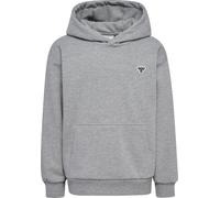 Hummel Kids' Hmljr Loose Hoodie Bee Grey Melange 146/152