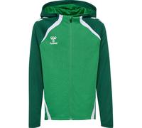 hummel hmlLEAD 2.0 Kapuzenjacke Kinder 6327 - jelly bean/evergreen 152