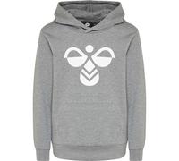 Hummel Kinder Kapuzenpullover Cuatro Hoodie 213850-2800 110 Medium Melange