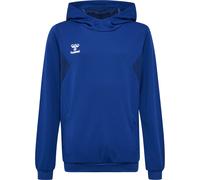 hummel Authentic Pl Hoody Kids blau, 12 (152) Kinder