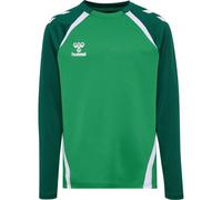 Hummel Kinder Langarm Top LEAD 2.0 CREW SWEAT KIDS 223749-6327 116 Jelly Bean/Evergreen