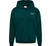 hummel Lockerer Hoodie M, grün, M