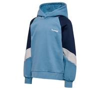 Hummel Loose Blocked Hoodie Blau 122-128 cm Kinder