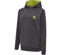 hummel Offgrid Hoodie Kinder forged iron/dark citron 116