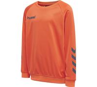 Hummel Promo Poly Sweatshirt Kinder | orange | Kinder | 152 | 2058753414 152