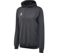 hummel Sport-Kapuzenpullover hmlAUTHENTIC PL Hoodie (mit Reißverschlusstaschen) asphaltgrau Herren, Größe L