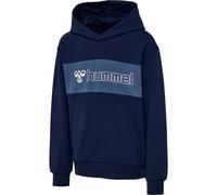 Hummel Sport & Leisure, Warenhandelsgesellschaft mbH hmlATLAS HOODIE BLACK IRIS 140