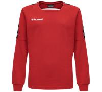 Hummel Sweathirt Authentic | Kinder | Training Sweat Rot 164