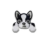 Hund Pocket Tier - Aufnäher, Bügelbild, Aufbügler, Applikationen, Patches, Flicken, zum aufbügeln, Größe: 3,4 x 3,7 cm