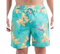 Hurley Herren Cannonball Volley 17" Board Shorts, Tropical Mist 2, S EU