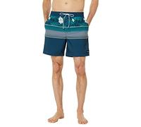 Hurley Herren Phantom Cannonball Volley 17' Board-Shorts, Nachtblau (Nightshadow), L