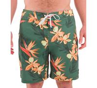 Hurley Herren Phantom-eco Classic 18" Board Shorts, Malverde 2, 32 EU