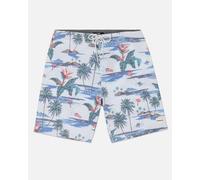 Hurley Herren Phntm Naturals Wkndr 20' Boardshorts, hellblau, 32