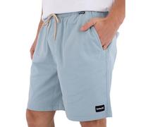 Hurley Icon Ewalk 19´´ Shorts Blau M Mann