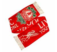 Hy-Pro FC EPL Schal NV von Arsenal Einheitsgröße rot