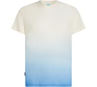 Icebreaker 125 Cool-Lite Sphere Alta Herren Laufshirts weiss Größe M Camping Hautfreundlich Merinowolle | Lyocell (Tencel™)