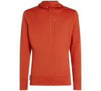 Icebreaker 260 Quantum LS Zip Hoodie Men, Gr.xl, agate