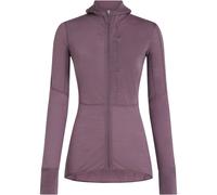 Icebreaker Damen 300 RealFleece Descender Hoodie Jacke (Größe XS, grau)