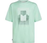 Icebreaker Herren 150 Tech Lite Mountain Shift T-Shirt (Größe M, tuerkis)