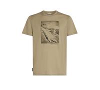 ICEBREAKER Herren Funktionsshirt Summit 150 Tech beige | S