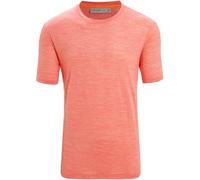 Icebreaker Men Sphere II Ss Tee Vibrant Earth Hthr XL