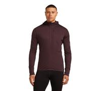 Icebreaker M Mer 200 Realfleece Descender Long Sleeve Zip H java (0GW) M