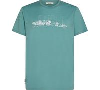 Icebreaker Men Mer 150 Tech Lite Short Sleeve Tee Massif hydro (451) M