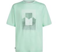Icebreaker Men Merino 150 Tech Lite Short Sleeve Relaxed Tee Mountain Shift mint (0A2) M