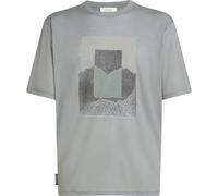 Icebreaker Herren 150 Tech Lite Mountain Shift T-Shirt (Größe M, grau)