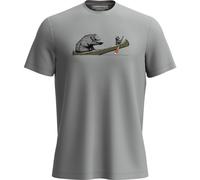 Icebreaker M 150 Tech Lite SS Tee Canoe Companions, M PROTO GREY