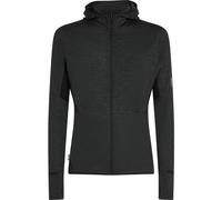 Icebreaker Herren 200 Realfleece Descender Hoodie Jacke (Größe S, grau)