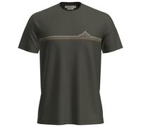 ICEBREAKER Herren Funktionsshirt Range Stripes 150 Tech Lite olive | L