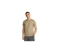 Icebreaker Merino 150 Tech Lite Kurzarm-t-shirt XL Flagstone