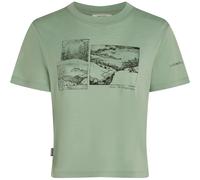 Icebreaker Merino 150 Tech Lite The Climb Damen T-Shirts gruen Größe L Trekking Hautfreundlich Merinowolle