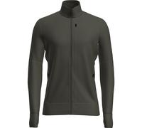 Icebreaker Men Merino 260 Quantum Long Sleeve Zip dk loden (0L1) M