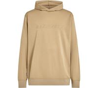 Icebreaker 360 Real Elemental Hoodie Beige S Mann