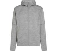 Icebreaker Merino 360 Elemental Herren Hoodie (Grau XL)