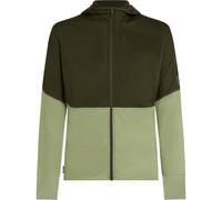 Icebreaker - Merino 200 Realfleece Descender L/S Zip Hoodie - Fleecepullover, Gr. M, oliv (DarkLoden/Lichen/CB)