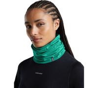 Icebreaker U 200 Oasis Flexi Chute fresh (IB733) OS
