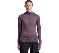 Icebreaker W Mer 200 Realfleece Descender Long Sleeve Zip H grey plum (IB0N1) XS