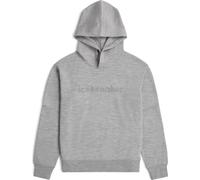 Icebreaker W Mer 360 Realfleece Elemental Long Sleeve Hood metro hthr (IB016) S