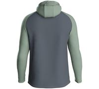 Iconic Kapuzensweater, grau, Gr. M