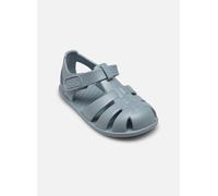 IGOR S10324 Blau 24