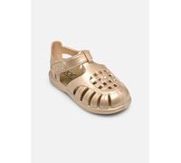 Igor - Sandalen Tobby Nacar - Gold und Bronze - Größe 23