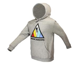 Imagine Dragons Triangle Band Logo Pullover Hoodie XL Grau